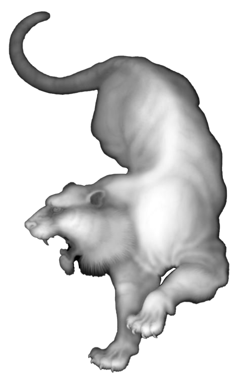 Tiger-RK-001 3D model
